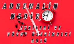 Adrenalin Nedir? Etkileri Ve Vücut Üzerindeki Rolü