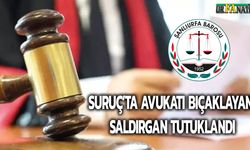 Suruç İlçesinde Avukatı Bıçaklayan Saldırgan Tutuklandı