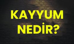 Kayyum nedir? Kayyum neden atanır?