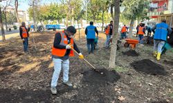 Eyyübiye Parklarında Bakım Zamanı