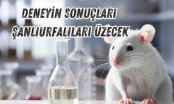 Farelerde Uygulanan Deneyin Sonuçları Şanlıurfalıları Üzecek