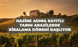 Hazine Adına Kayıtlı Tarım Arazilerinde Kiralama Dönemi Başlıyor