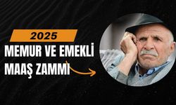 2025 Memur ve Emekli Maaş Zammı: İşte Yeni Maaşlar