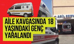 Haliliye’de Aile Kavgası Kanlı Bitti: Genç Bıçaklandı