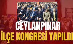 AK Parti Ceylanpınar 8. Olağan Kongresi Gerçekleşti