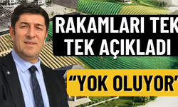 Ali Rıza Öztürkmen "Yok Oluyor" Diyerek Tek Tek Açıkladı