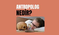 Antropolog Nedir?