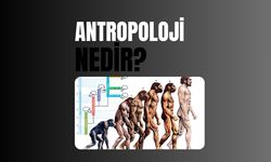 Antropoloji Nedir?