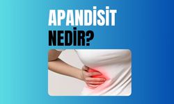 Apandisit Nedir?