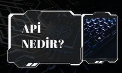 Api Nedir?