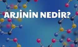 Arjinin Nedir?