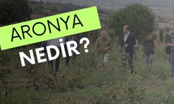 Aronya Nedir?