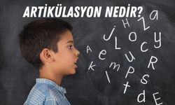 Artikülasyon Nedir?