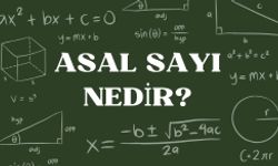 Asal Sayı Nedir?