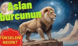 Aslan burcunun yükseleni nedir Hesaplama Nasıl Yapılır?