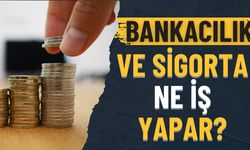 Bankacılık ve Sigortacılık Ne İş Yapar?