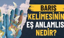 Barış Kelimesinin Eş Anlamlısı Nedir?