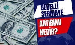 Bedelli Sermaye Artırımı Nedir?