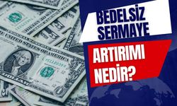 Bedelsiz Sermaye Artırımı Nedir?