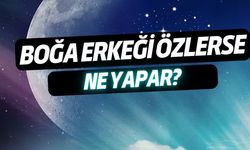 Boğa Erkeği Özlerse Ne Yapar?