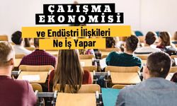 Çalışma ekonomisi ve endüstri ilişkileri nedir? İş Olanakları