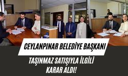 Ceylanpınar Belediyesi, Parsel Parsel Taşınmaz Satıyor!