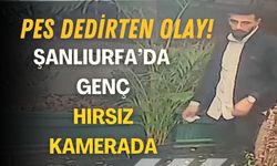 Şanlıurfa’da Pes Dedirten Olay: Genç Hırsız Kameraya Takıldı