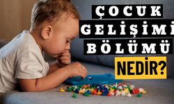 Çocuk Gelişimi Bölümü Nedir?