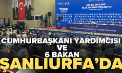 Cumhurbaşkanı Yardımcısı Cevdet Yılmaz ve 6 Bakan Şanlıurfa’ya geldi