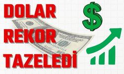 Dolar Yeni Günde Rekor Kırdı