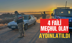 Şanlıurfa Eyyübiye’de 4 Faili Meçhul Olay Aydınlatıldı