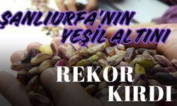 Şanlıurfa’nın Yeşil Altını Rekor Kırdı