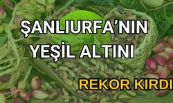 Şanlıurfa’nın Yeşil Altını Rekor Kırdı