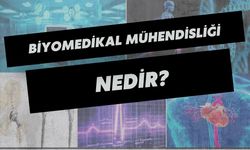 Biyomedikal Mühendisliği Nedir?