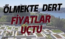 Günümüzde Ölmekte Dert: Fiyatlar Uçtu