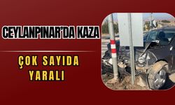 Ceylanpınar’da Kaza: Çok Sayıda Yaralı