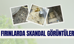 Şanlıurfa’nın Haliliye İlçesindeki Fırınlarda Yeni Skandal Görüntüler