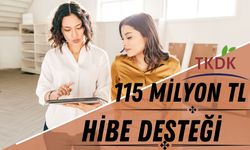 115 Milyon TL Hibe Desteği