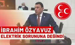 Şanlıurfalı Vekil Özyavuz, Elektrik Sorununa Değindi