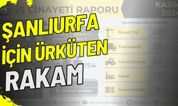 Kasım Ayında Şanlıurfa İçin Ürküten Rakam