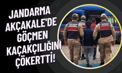 Jandarma Akçakale'de Göçmen Kaçakçılığını Çökertti!