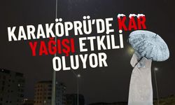 Karaköprü'de Kar Yağışı Etkisini Gösteriyor