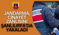 Jandarma, Kasten Öldürme Zanlısını Şanlıurfa’da Yakaladı