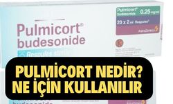 Pulmicort Nedir? Ne İçin Kullanılır