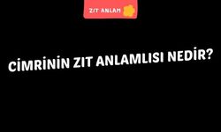 Cimrinin Zıt Anlamlısı Nedir?