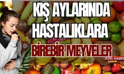 Kış Aylarında Hastalıklara Birebir Meyveler