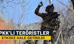 PKK’lı Teröristler Etkisiz Hale Getirildi