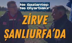 Ne Gaziantep Ne Diyarbakır Zirve Şanlıurfa’da