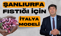 Şanlıurfa Fıstığı İçin İtalya Modeli