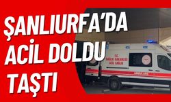 Şanlıurfa’da Çok Sayıda Fabrika İşçisi Hastanelik Oldu